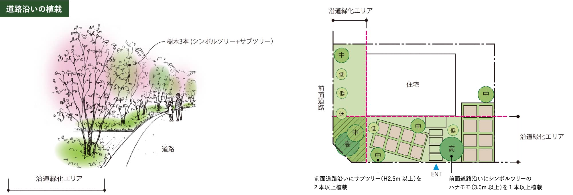 道路沿いの植栽の図解イラスト 沿道緑化エリアには前面道路沿いにサブツリー（高さ2.5メートル以上）を2本以上植栽。前面道路沿いにシンボルツリーのハナモモ（3.0メートル以上）を1本以上植栽